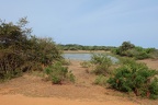 2017 India Sri Lanka